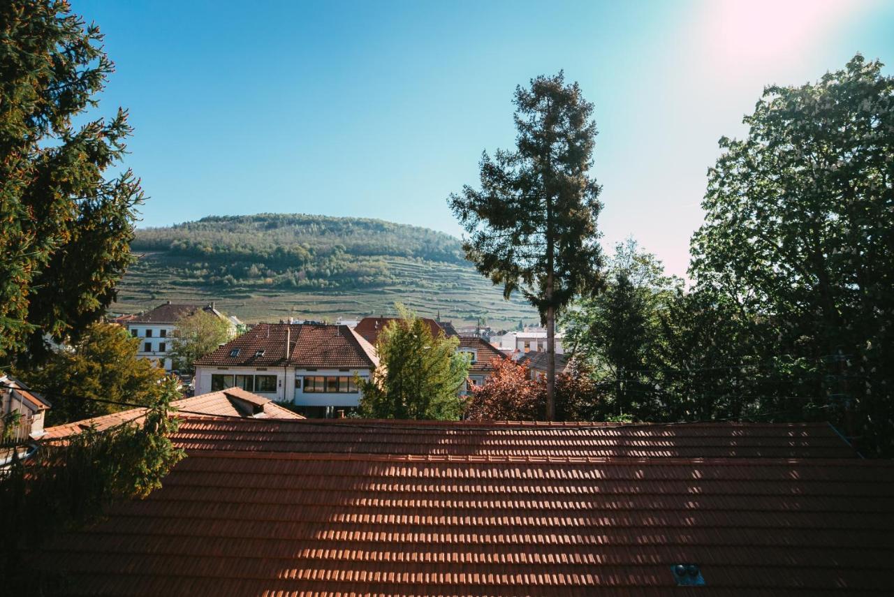 Domaine Boheme I Art De Vivre Apartment Guebwiller Bagian luar foto
